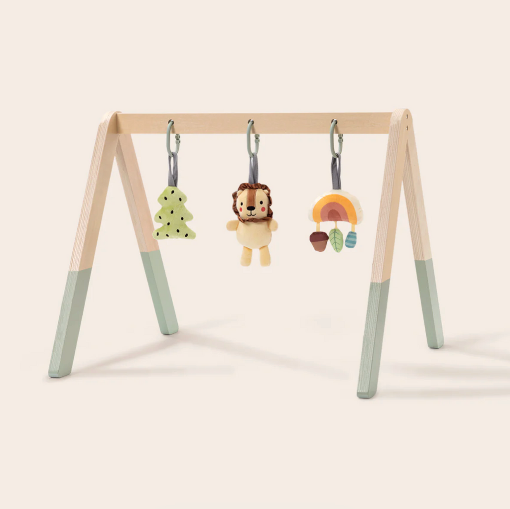 Wooden Baby Gym