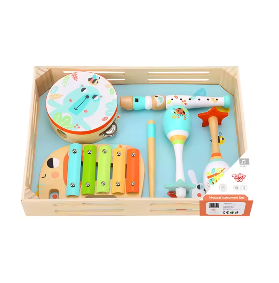 Musical Instrument Set