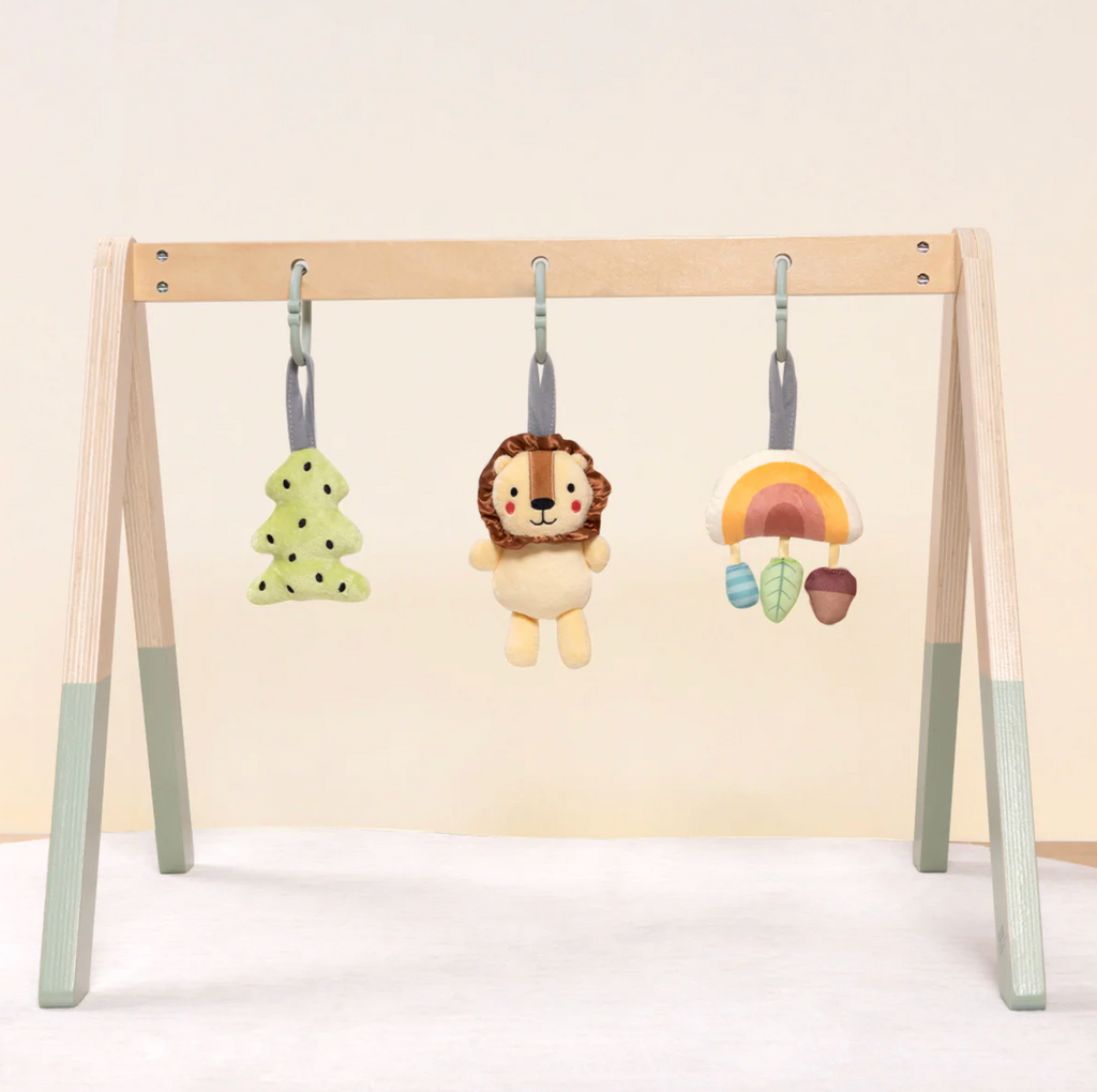 Wooden Baby Gym