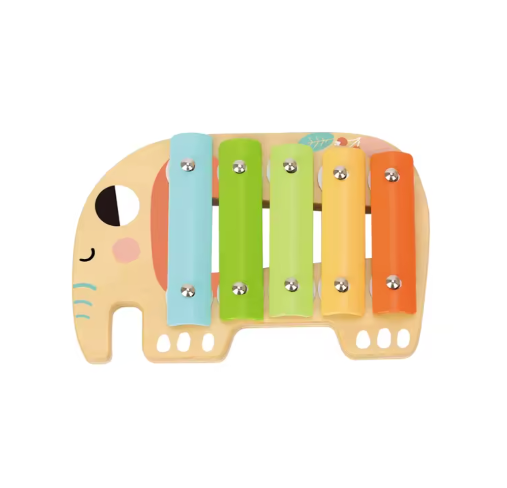 Musical Instrument Set