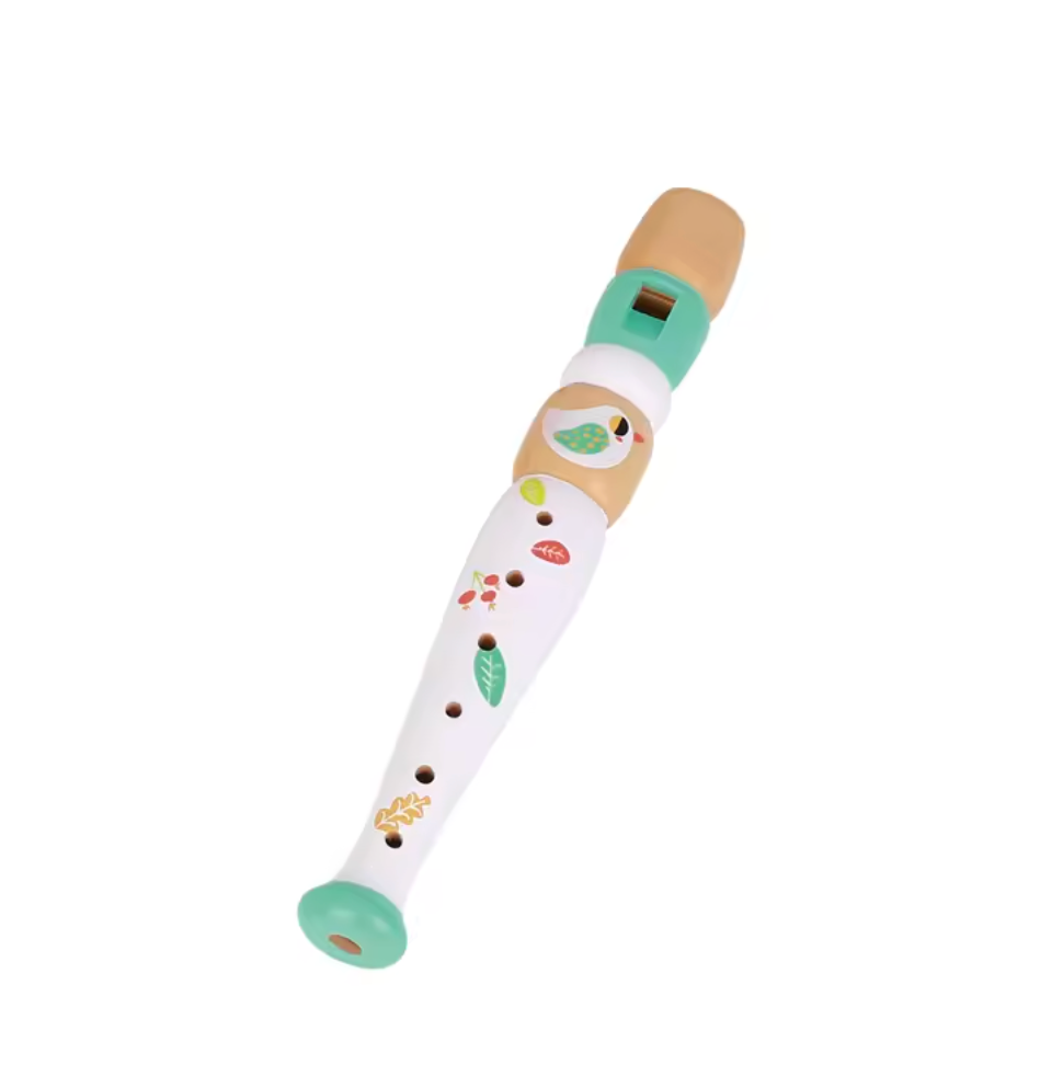 Musical Instrument Set