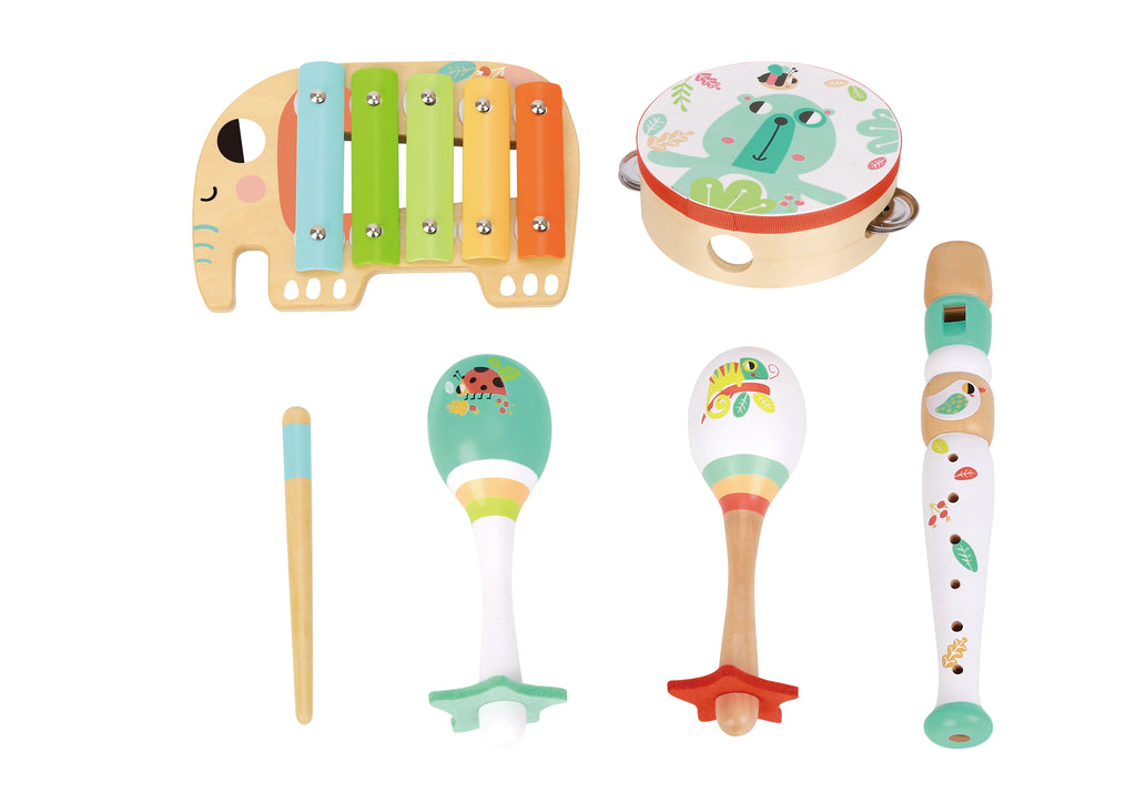 Musical Instrument Set